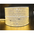 SMD5050 double color LED strip 100 meter 110V 220V strip light